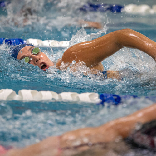 girls swimming freestyle at a summer swim meet