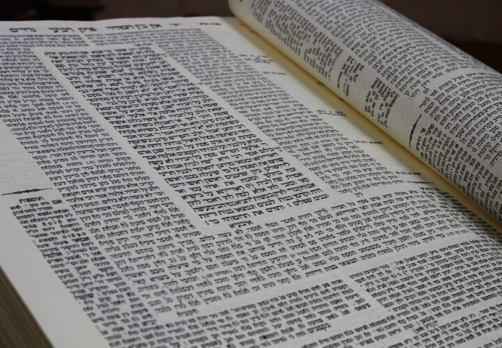 Torah Studies for Grown Ups