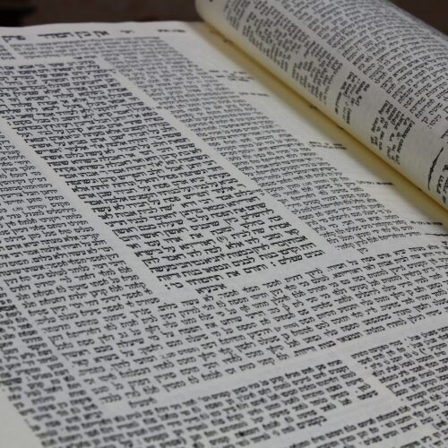 Torah Studies for Grown Ups